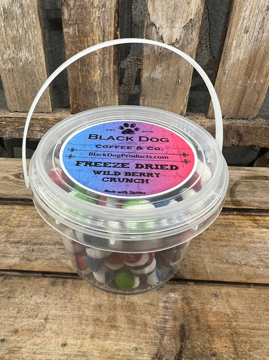 Freeze Dried Wild Berry Skittles | Freeze Dried Candy Bucket